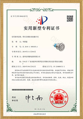 PAM實(shí)用新型專利開關(guān)