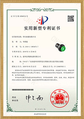 PB22 實(shí)用新型專利開關(guān)