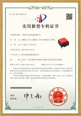 PB13實(shí)用新型專利開(kāi)關(guān)