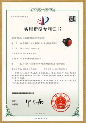 PB12實(shí)用新型專利開(kāi)關(guān)