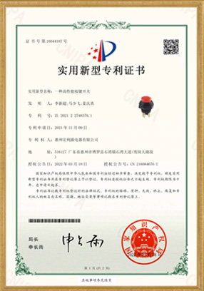 PA12開(kāi)關(guān)實(shí)用新型專利證書(shū)