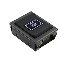 OLED-R-3 翹板顯示屏開關